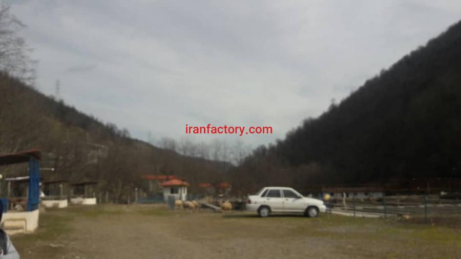 فروش پرورش ماهی سردآبی در گیلان4