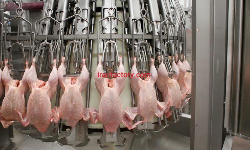کشتار مرغ گوشتی تمام اتوماتیک0