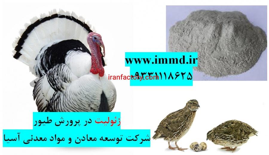 فروش زئولیت ویژه خوراک و بستر پرورش پرندگان0