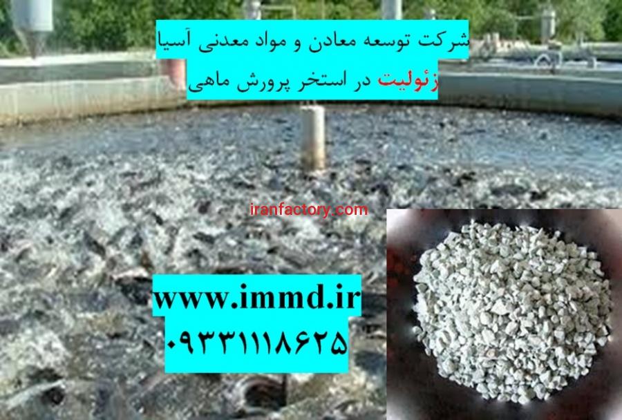 فروش زئولیت در بستر استخرپرورش ماهی0