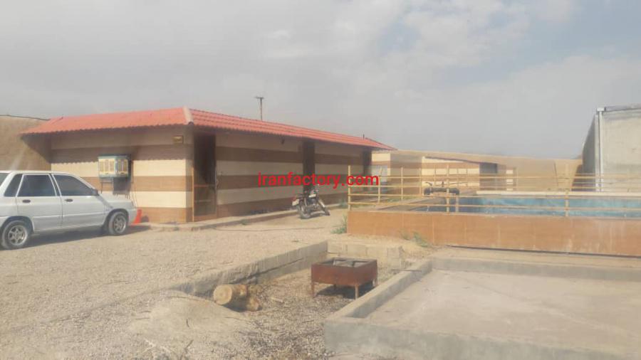 فروش کارخانه تولید قارچ خوراکی و زمین کشاورزی3