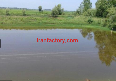فروش دوهکتار مزرعه پروش ماهی و دام در شفت گیلان4