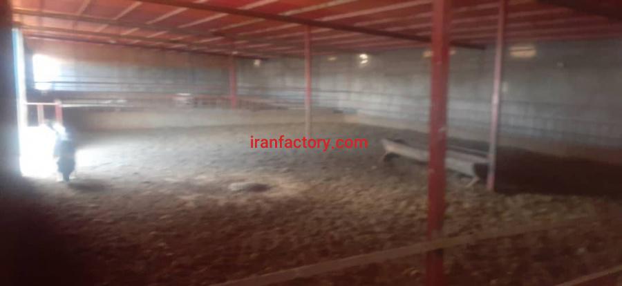 فروش دامداری در اصفهان1