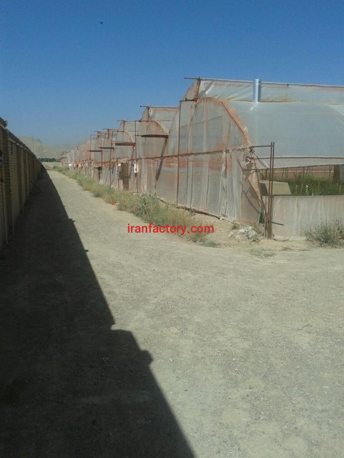 فروش گلخانه صنعتی1