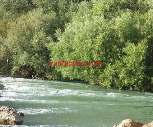 فروش 1600 متر پرورش ماهی در شهرکرد1