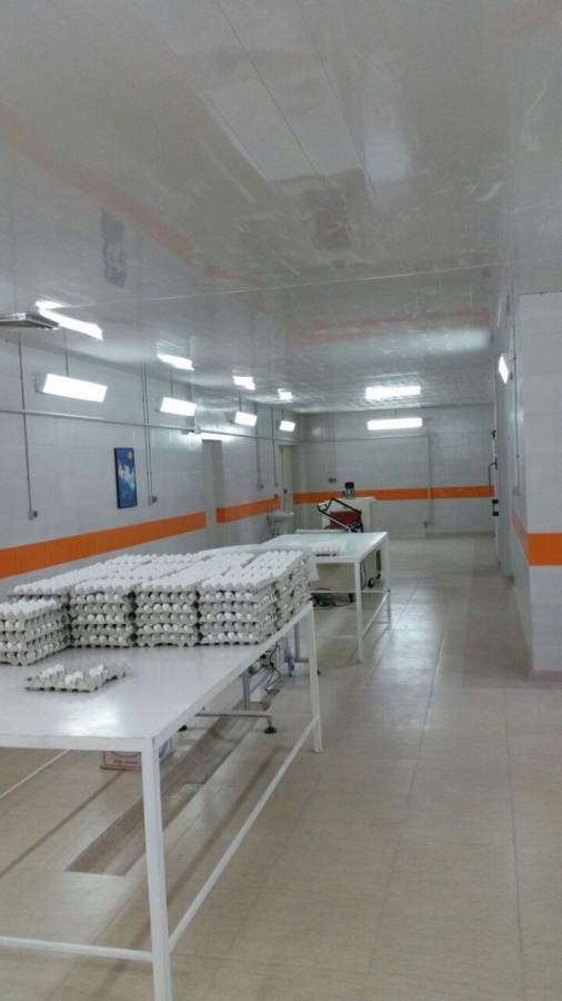 فروش کارخانه بسته بندی تخم مرغ در زنجان0