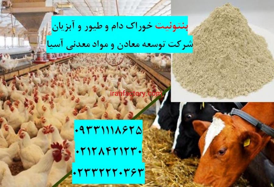 فروش بنتونیت ویژه تهیه خوراک دام و طیور و آبزیان0