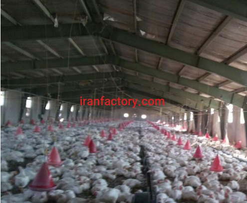 فروش یا تهاتر 3 و نیم هکتار مرغداری در کرمانشاه0