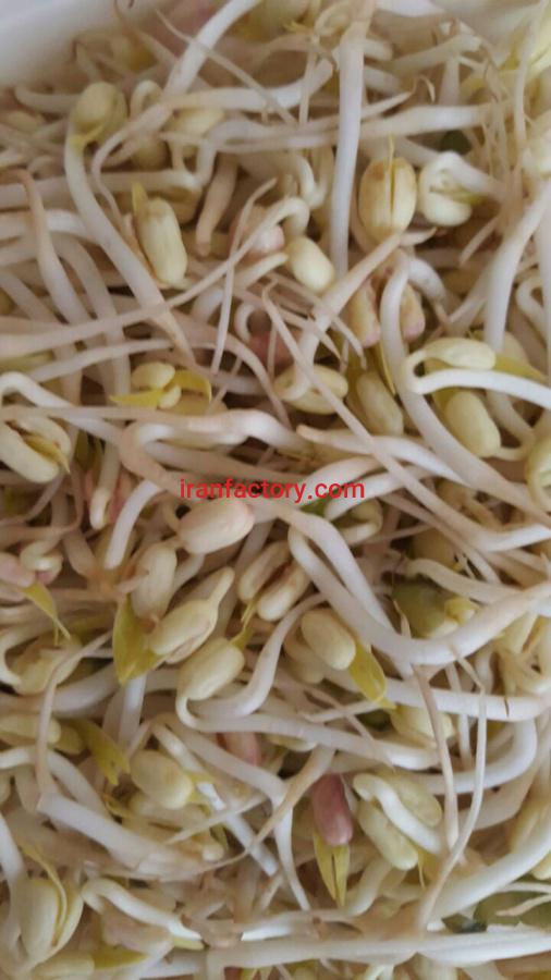 بهترین مارک دستگاه تولید جوانه2