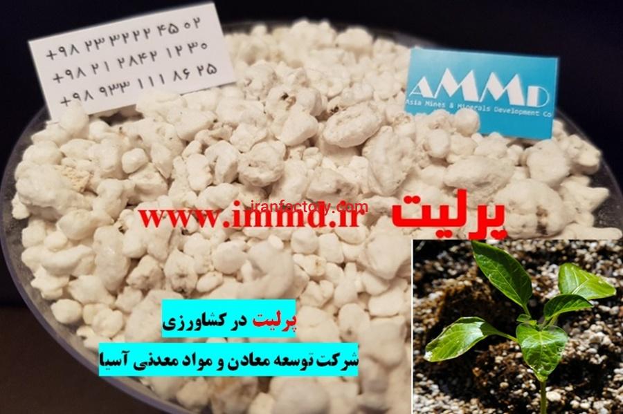 فروش پرلیت ویژه کاشت نشا و نهال و گیاهان3