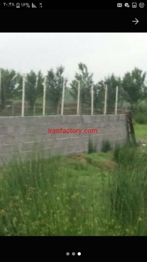 فروش پرورش ماهی سرد آبی رشت1