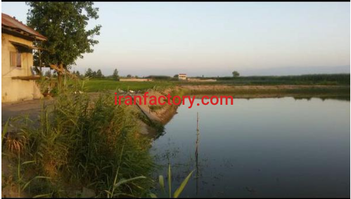 فروش ٤هکتار پرورش ماهی در بندر انزلی3
