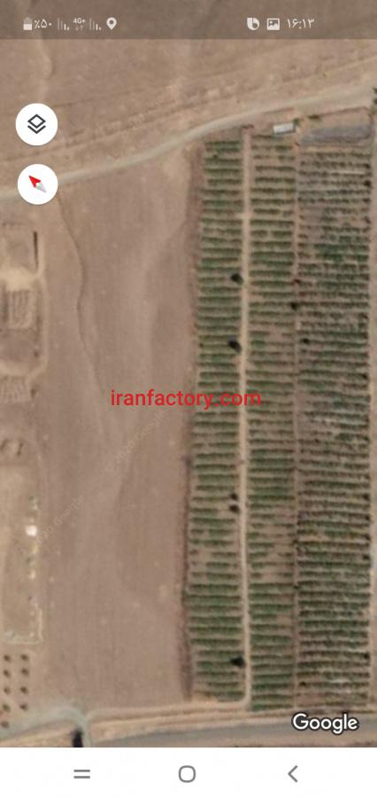 فروش باغ انگور بیدانه در ملایر2