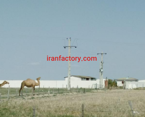 فروش یا معاوضه 6000متر کارخانه نیمه کاره گمیشان گرگان1