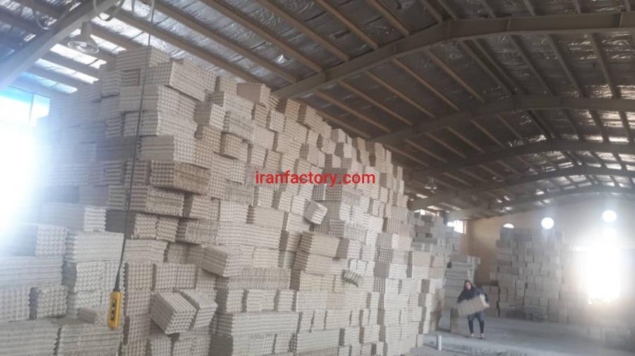 شانه تخم مرغ مقوایی2