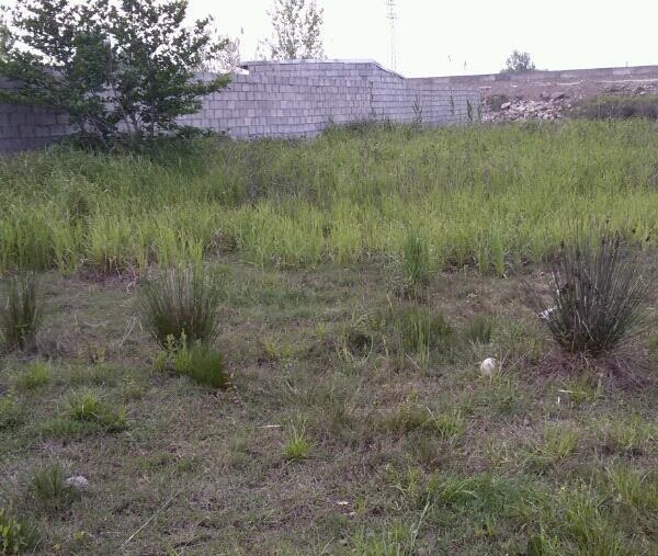 فروش یا معاوضه 501 متر زمین بندر انزلی1