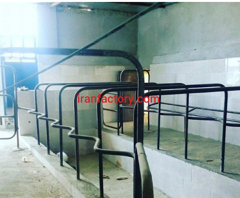 فروش 6000 متر گاوداری در ابرکوه3