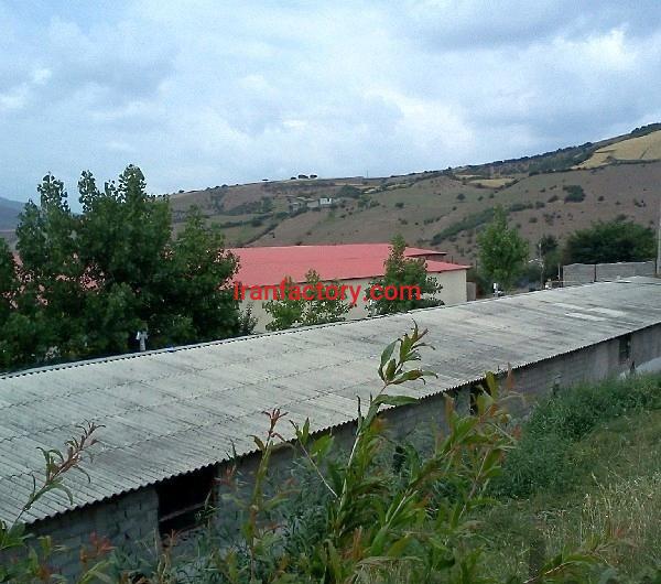 فروش مرغداری گوشتی 80 هزار قطعه ای در گیلان1