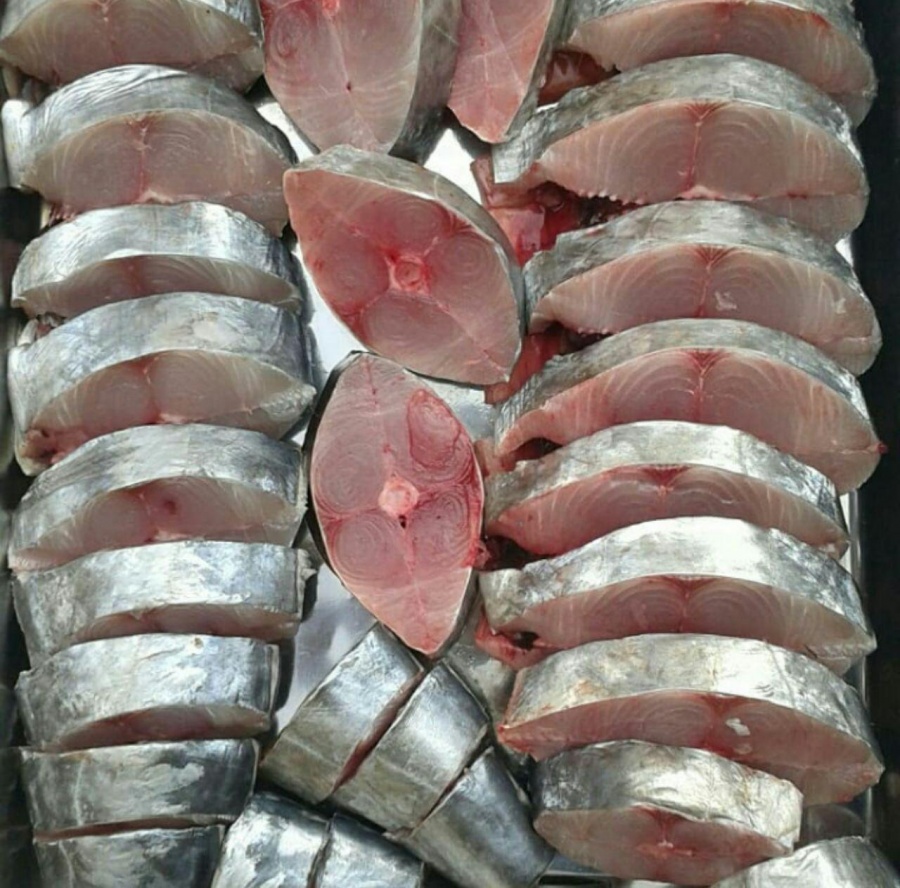 ماهی شیر اصل0