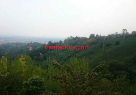 فروش یک هکتار زمین برای مرغداری  در املش0