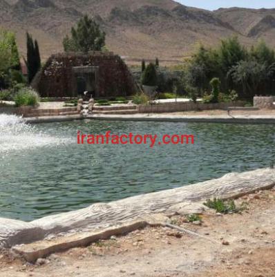 فروش کارخانه تولید قارچ خوراکی در شیراز1