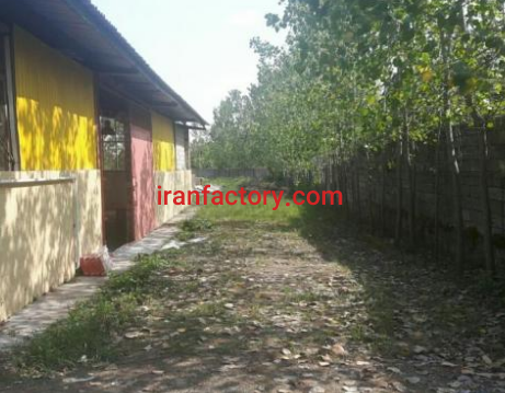 فروش 2200 متر کارخانه ریسندگی در لاهیجان5