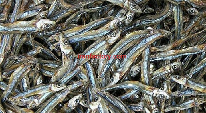 ماهی خشک متو0