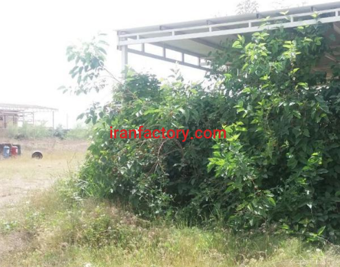 فروش 5000 متر ملک در شهرک صنعتی شماره 1 اندیمشک0