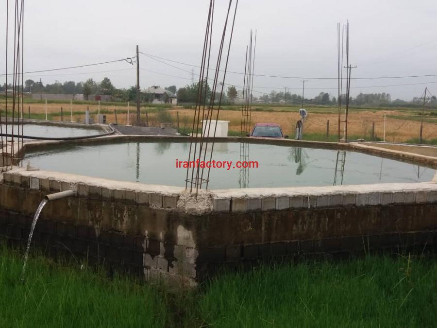 فروش پرورش ماهی سرد آبی رشت0