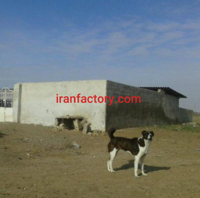 فروش 800 متر زمین و دامداری در گنبدکاووس1