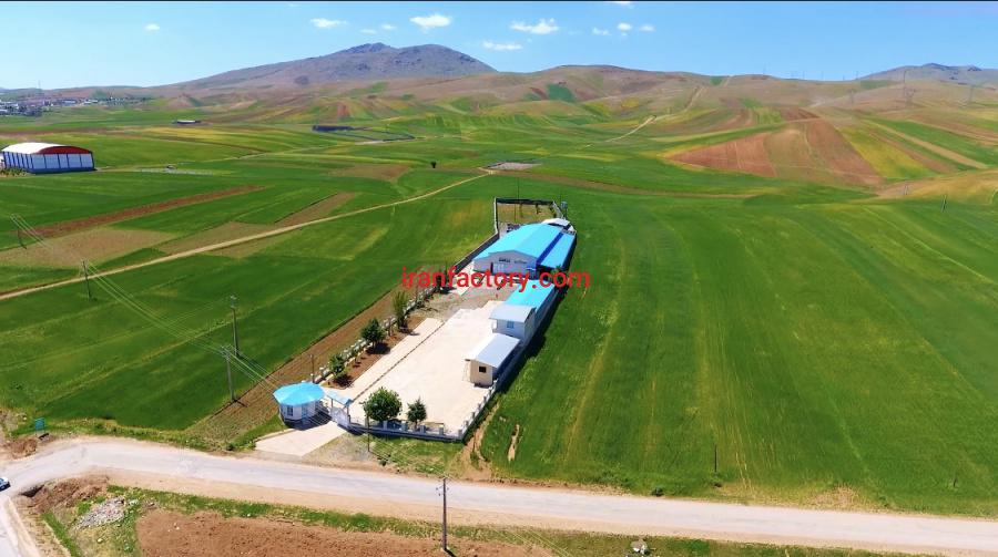 فروش کارخانه شیر و لبنیات در لرستان1