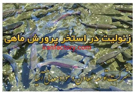 فروش زئولیت مخصوص خوراک دام وطیور1