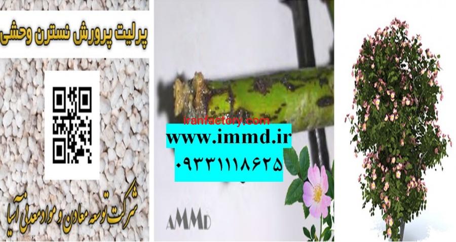 فروش پرلیت کاشت نسترن وحشی0