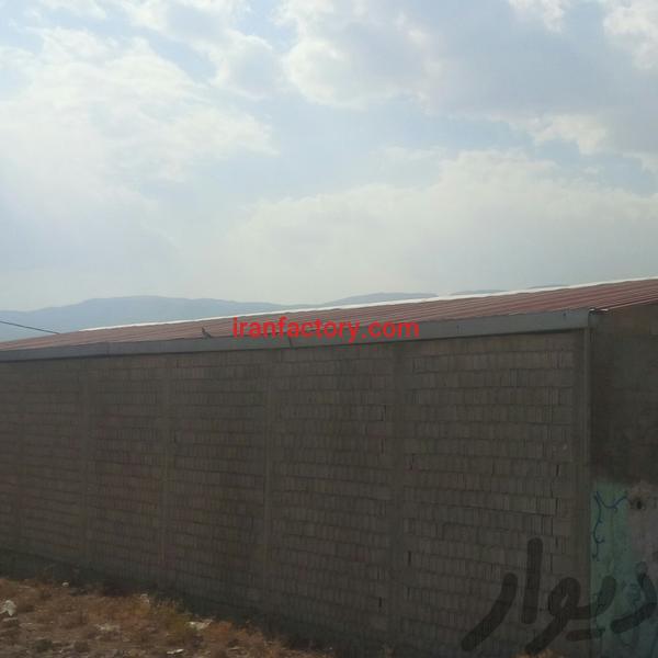 فروش سوله 300 متری بیدزرد شیراز4