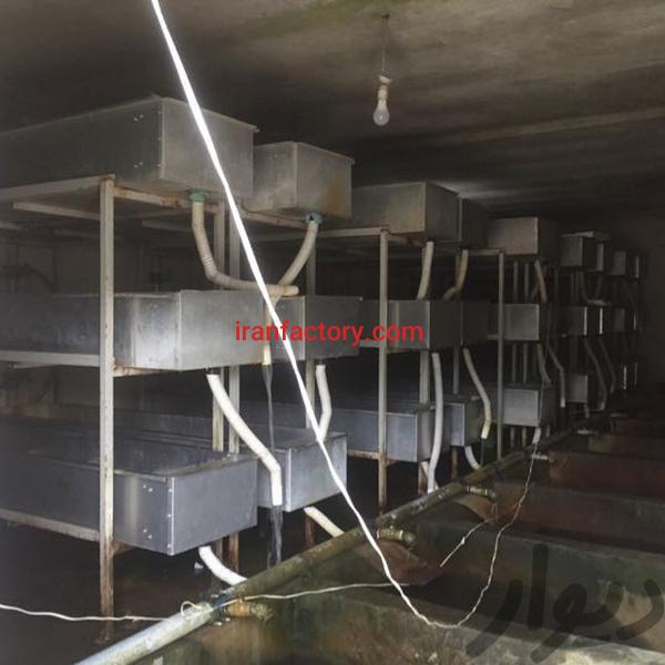 فروش استخر پرورش ماهی در تالش1