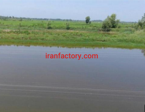 فروش دوهکتار مزرعه پروش ماهی و دام در شفت گیلان5
