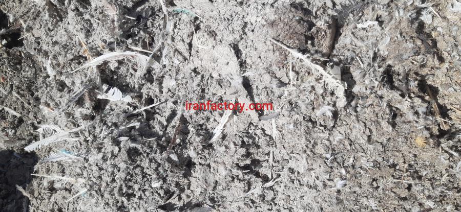 فروش کود کبوتر بدون ناخالصی0