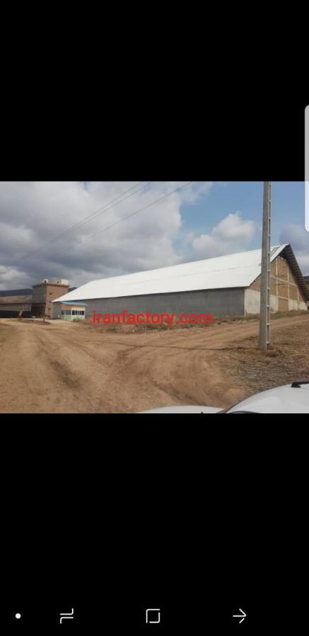 کارخانه ارد وگندم0