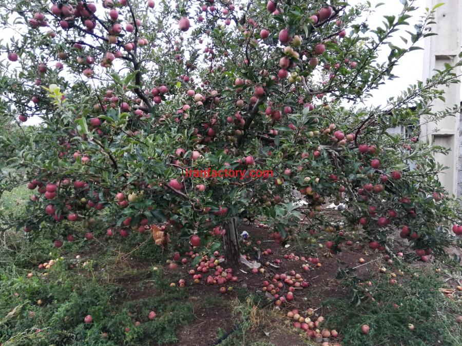 فروش کارخانه سازنده ماشین آلات تولیدی و صنعتی13