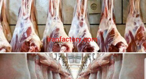 نیاز به همکار و شریک در ساوجبلاغ0