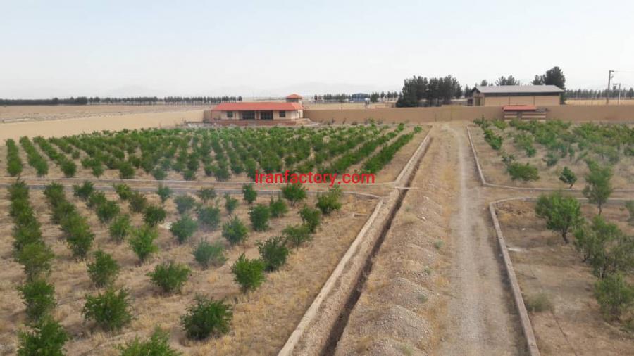 فروش کارخانه تولید قارچ خوراکی و زمین کشاورزی2