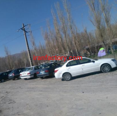 فروش پرورش ماهی در تبریز2