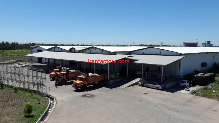 سردخانه و سورتینگ0