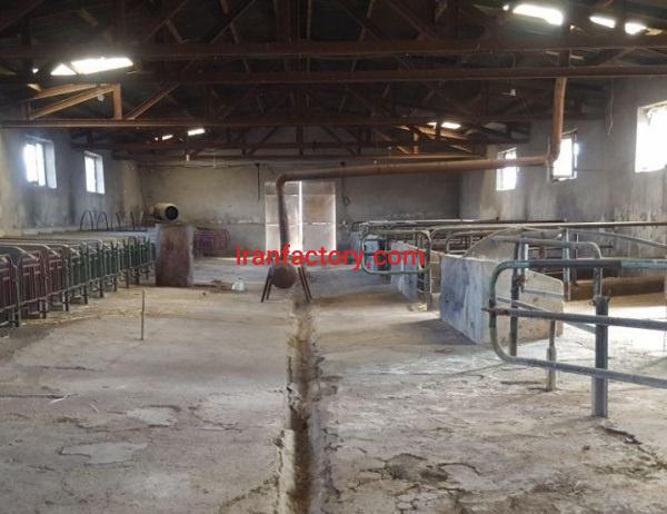 فروش گاوداری با قابلیت تبدیل به کارخانه در مراغه0