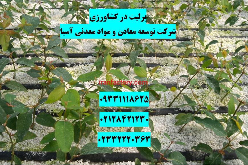 فروش پرلیت کشت گل وگیاه0