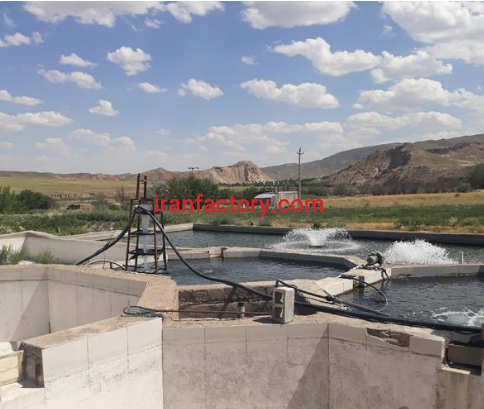 فروش 20000 متر پرورش ماهی فعال در ماهنشان زنجان5