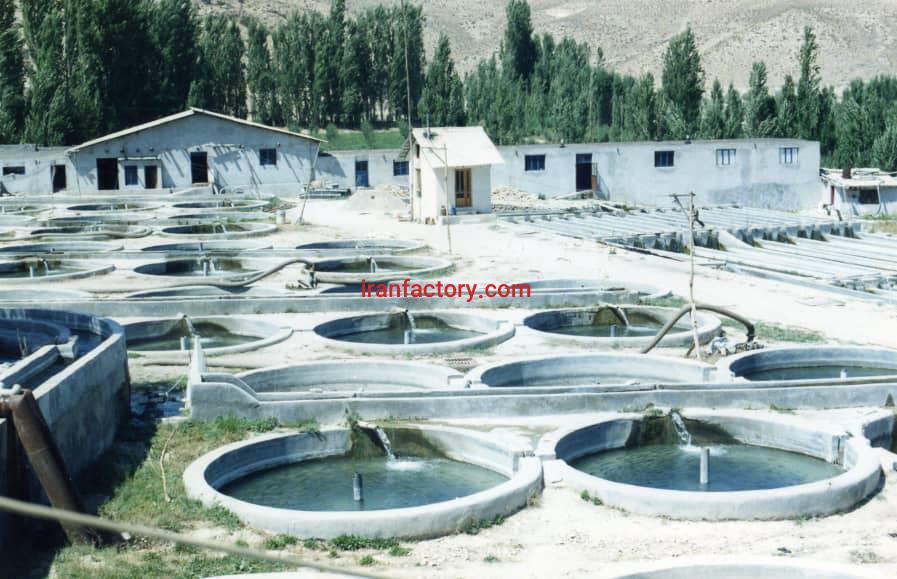 فروش پرورش ماهی در فیروزکوه0