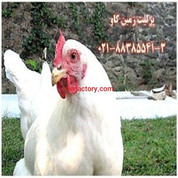 مزیت های استفاده از پرلیت در خوراک طیور Perlite0