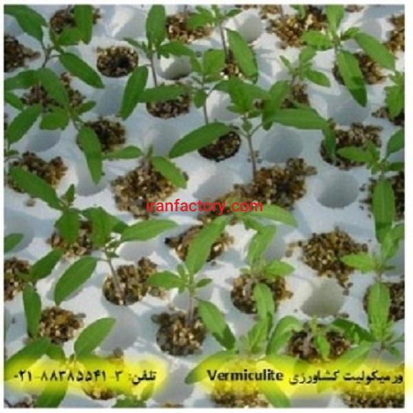 ورمیکولیت و خاصیت تبادل یونی آن در کشاورزی Vermiculite0