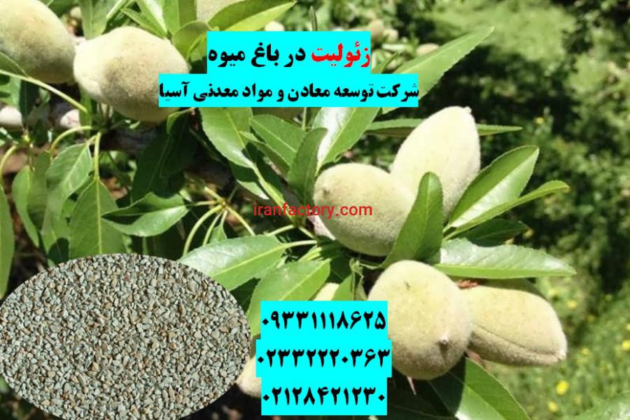 فروش زئولیت شرکت توسعه معادن ومواد معدنی آسیا0